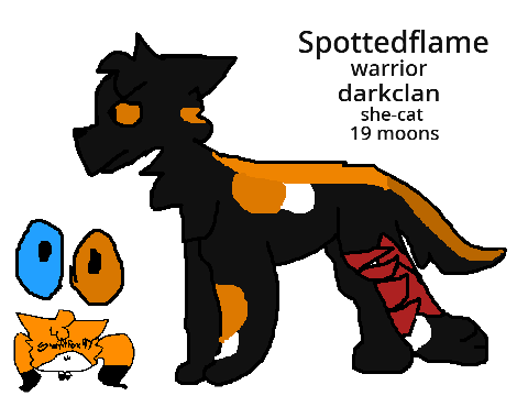 Spottedflame bio