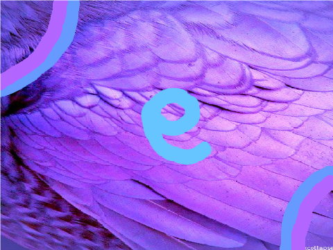 e