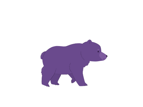 RAINBOW BEAR WALKING
