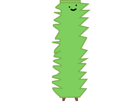 Cactus Otan Boi