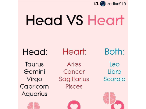 Zodiac: Head vs. Heart