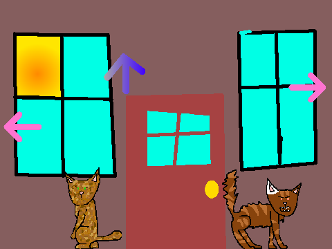 Talk to cats.