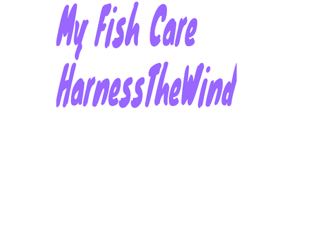 My Fish Care