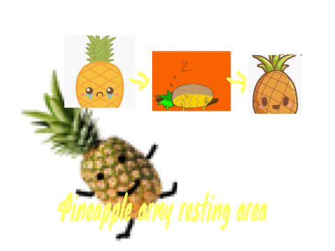  Pineapple army resting area pic