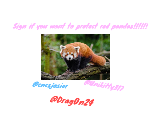 sign if you want to help red pandas! remix remix