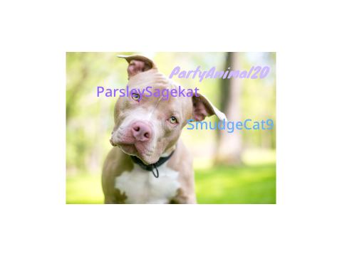 Sign if you care about pit bulls remix