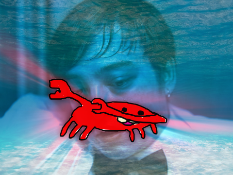 Beat the Crabs! (disabled friendly)