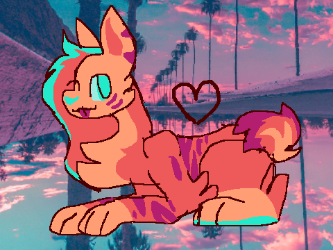 ✦ DTA ✦ Hawaii