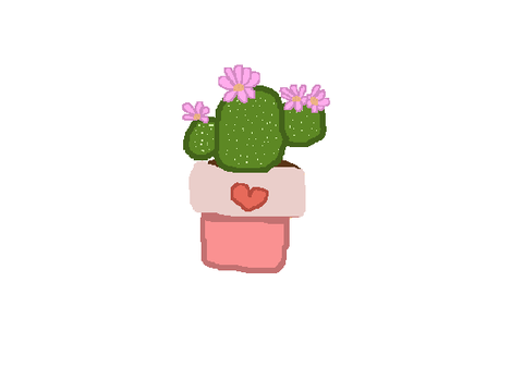 Cactus plant for sparrowhawk