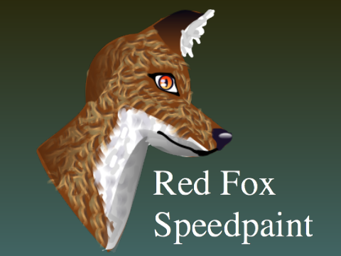 Red Fox Speedpaint