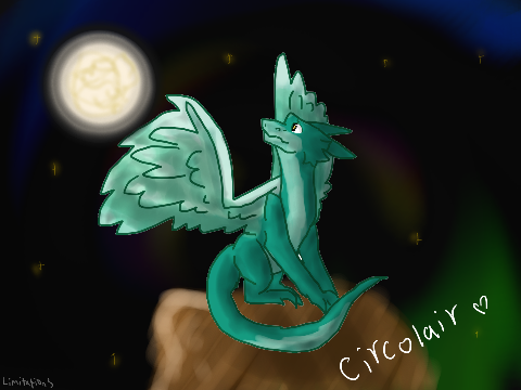 Gift for Circolair