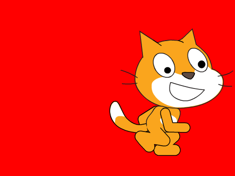 SCRATCH CAT IN pbs