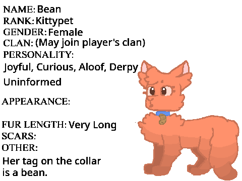 Best beans