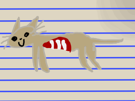 kitty