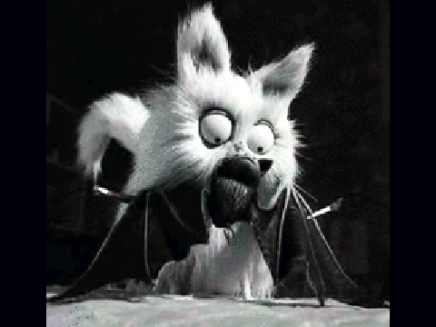 Mr. Whiskers and his bat.