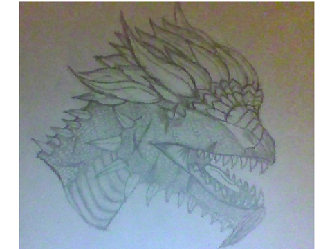 Dragon Contest Entry