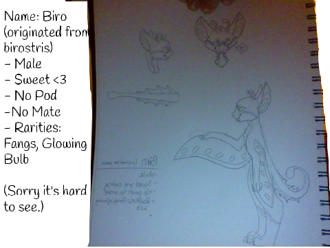 Lil Boi Biro (My last project..)