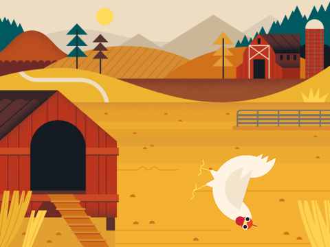 Chicken says YEET!