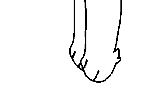redone Animation