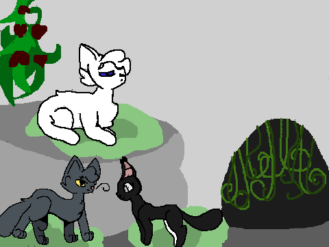 Midnight Dawns Part four!