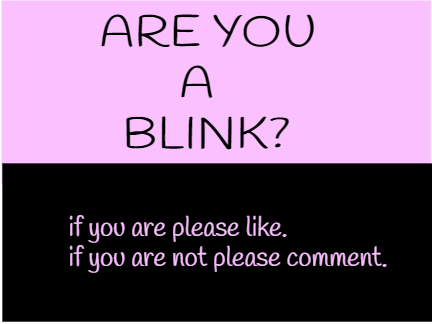are you a blink?