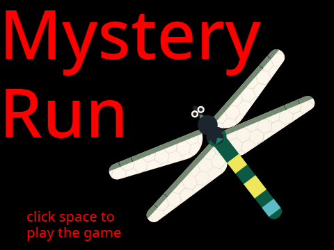 MYSTERY RUN