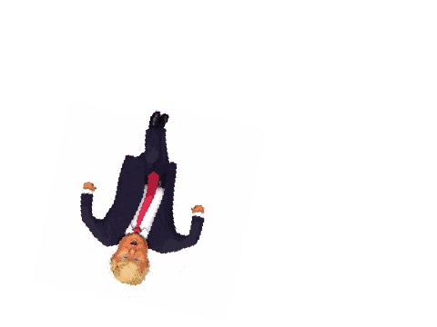 Donald Trump says YEET!