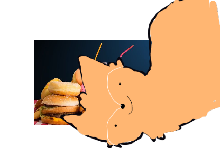 Meme Fox Likes Food