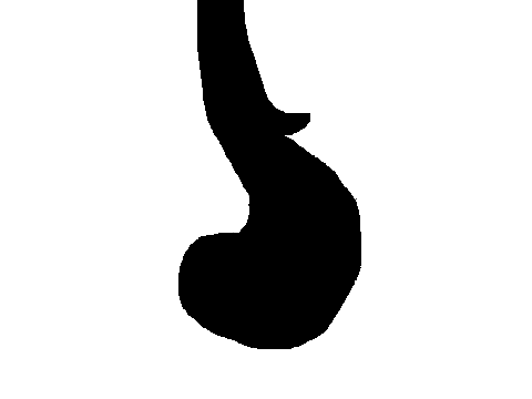 tail animation?