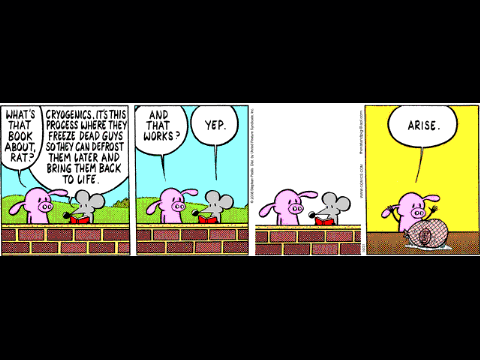 get fuzzz
