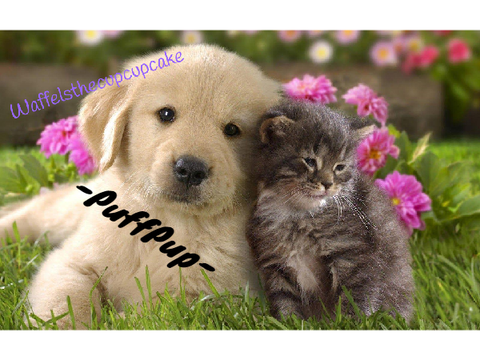Sign To Help Stop Animal Abuse -PuffPup-