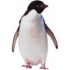 Thing