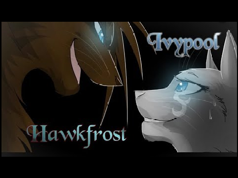Ocean Eyes~ Hawkfrost and Ivypool