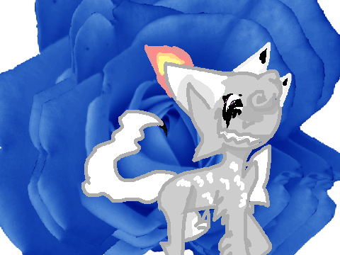 Project thumbnail