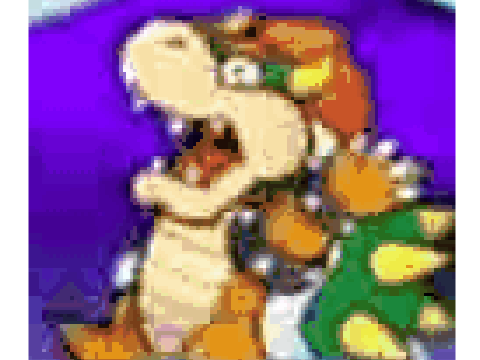 BOWSER'S ARMS!