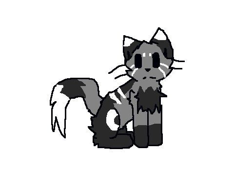 Some random cat
