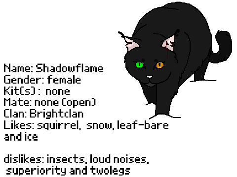 Adult Cat Signup Bio