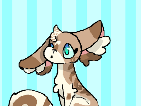 Robodog31 dta entry coco bunny marble soda