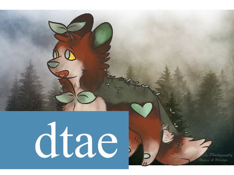 Cedar - dtae