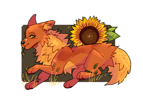 sunflower