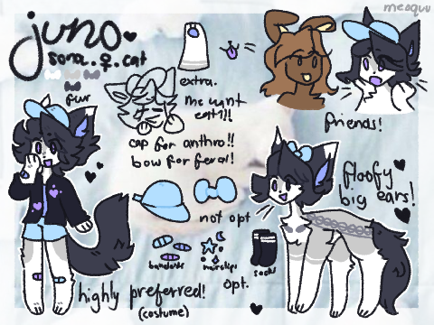 ☆ juno ref | redesign ☆