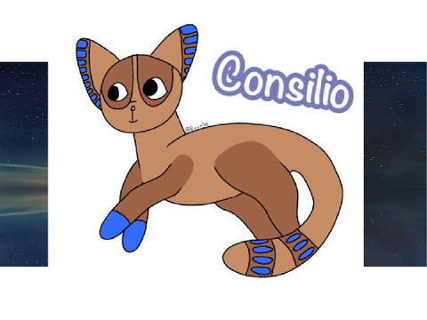 DTAE ~ Consilio!