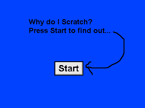 Why do I Scratch?