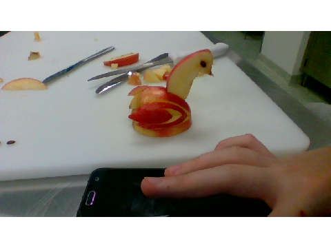 Made Apple Swans In Culinary Essentials