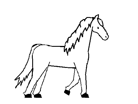 horse CC