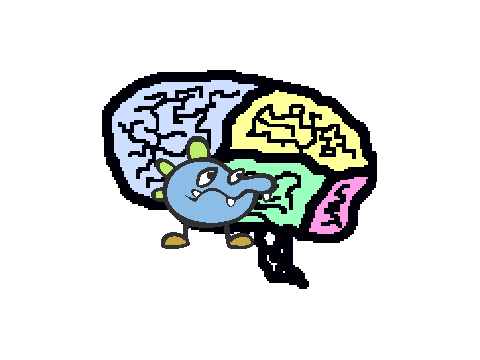 nervous system
