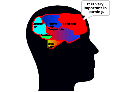 Charlie and Zach's Brain