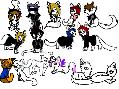 ADD YOURSELF AS A WARRIORCAT! :p