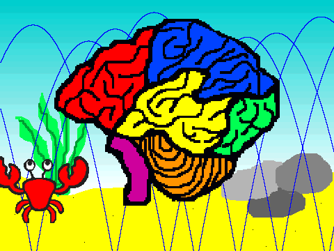 Brain: Mille and Emma