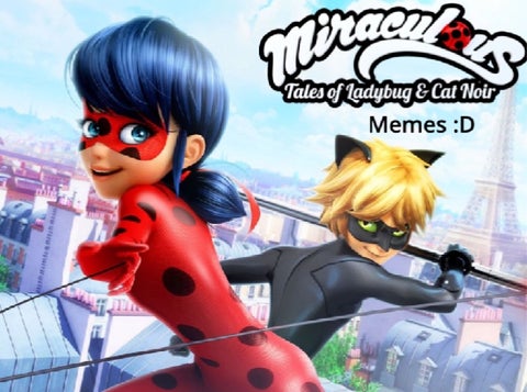 150+ miraculous memes